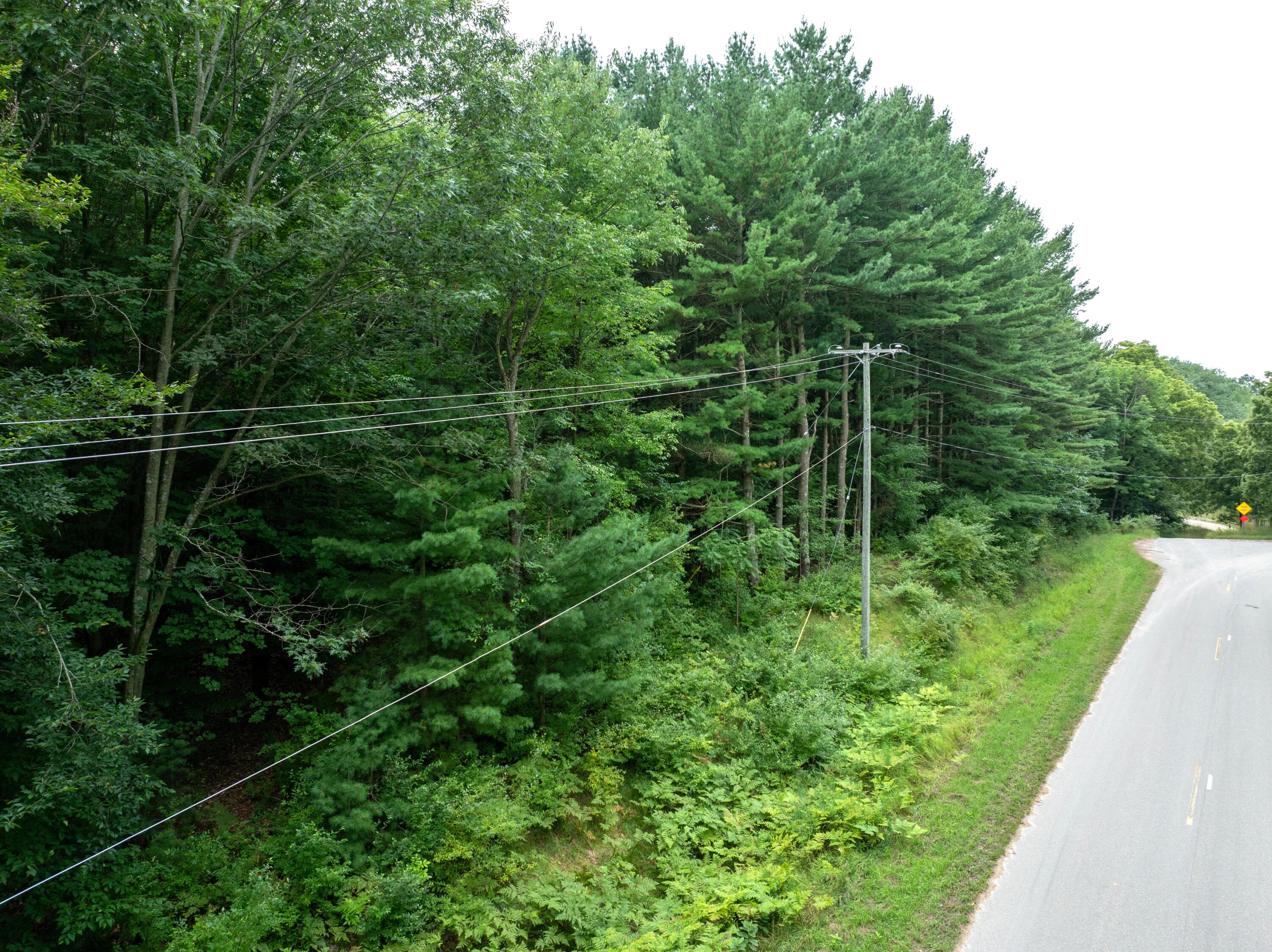 V/l Joseph Road Onekama, MI 49675 - Photo 9 of 21 DJI_20240801143402_0156_D
