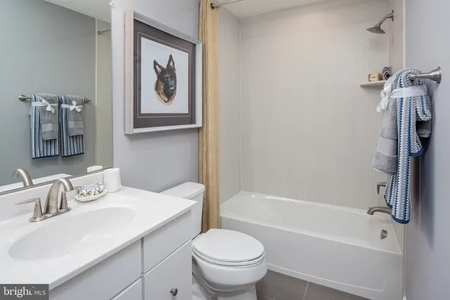 a bathroom with a sink toilet and a bathtub