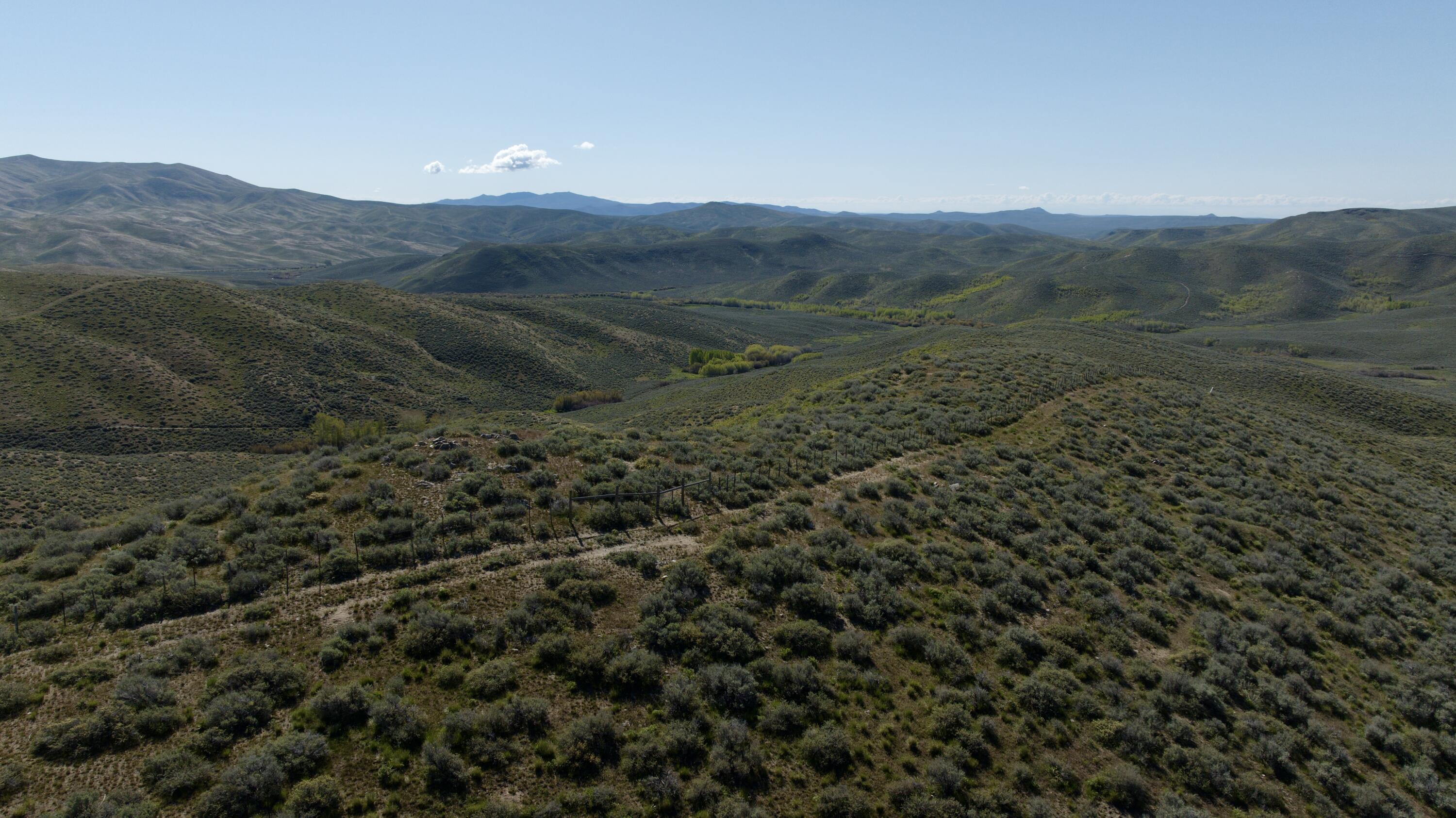 Tbd Camp Creek Road Hailey, ID 83333 - Photo 6 of 18 Camp Creek, Croy, Hailey
