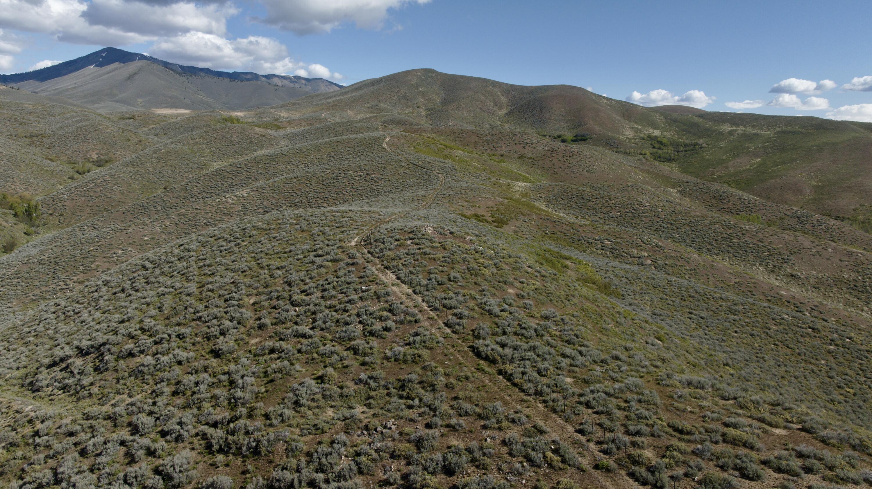 Tbd Camp Creek Road Hailey, ID 83333 - Photo 7 of 18 Camp Creek, Croy, Hailey
