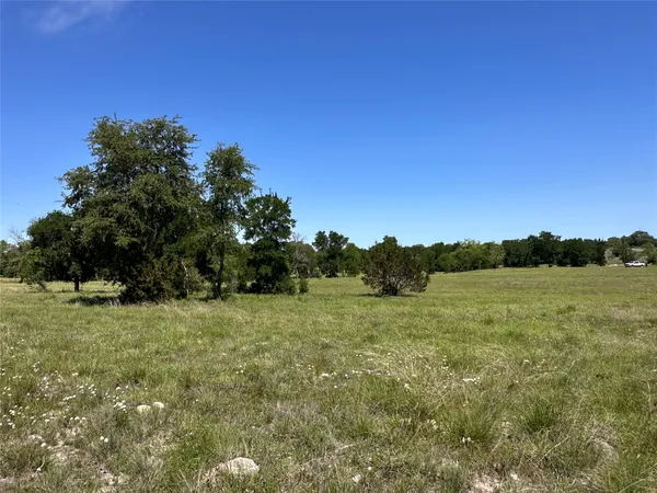 a view of a green field with lots of bushes