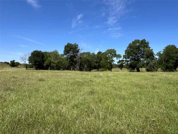 a view of an ocean from a yard
