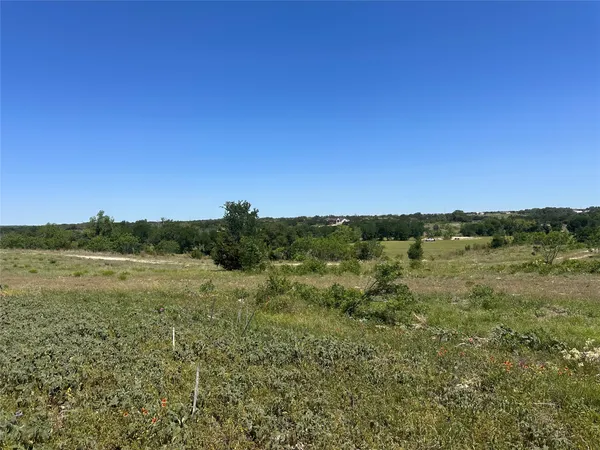a view of a field with an trees in the background