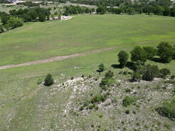 a view of a grassy field with trees