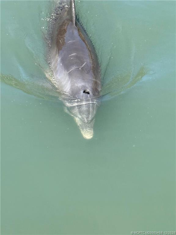 513 Gunwale Lane Longboat Key, FL 34228 - Photo 14 of 59 a close up of a white marble wall