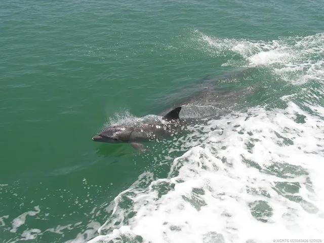 a view of outdoor space with swimming pool in front of it