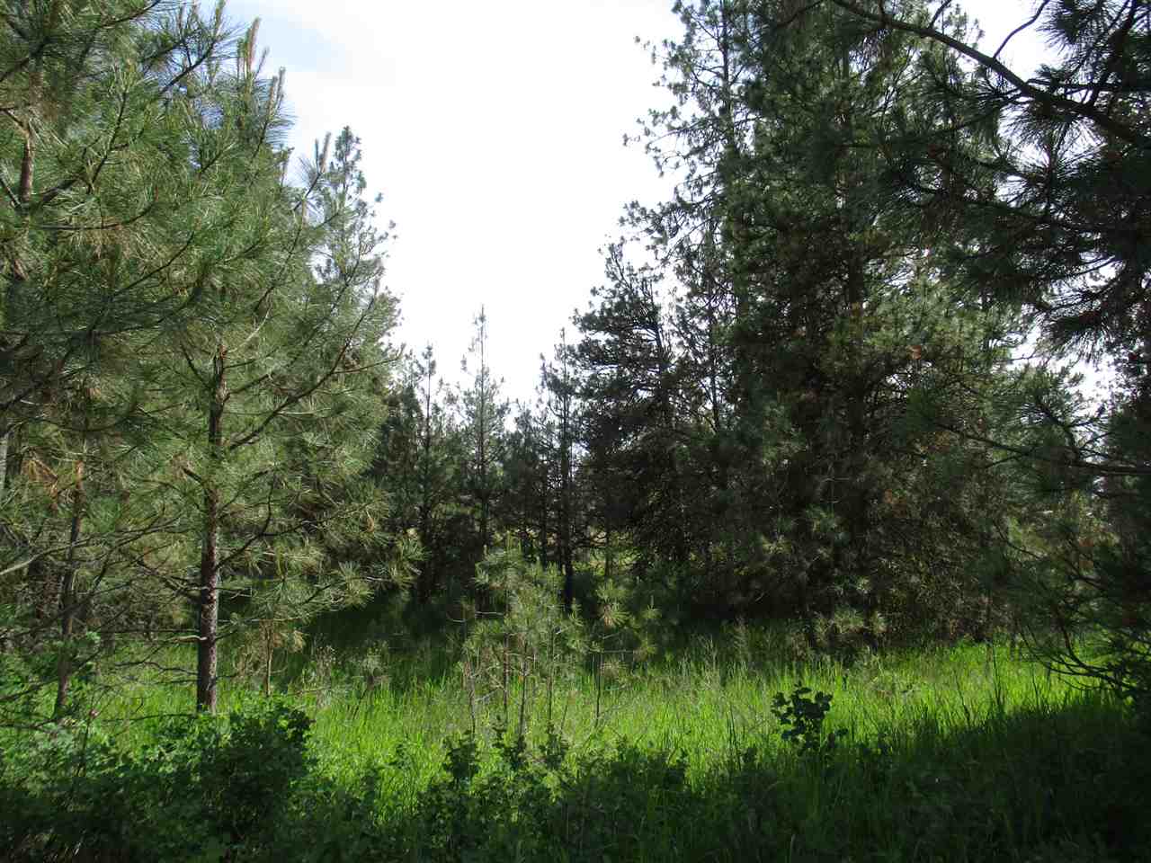 Nna West Paradise Road Spokane, WA 99224 - Photo 4 of 8
