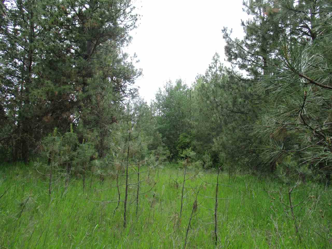 Nna West Paradise Road Spokane, WA 99224 - Photo 5 of 8