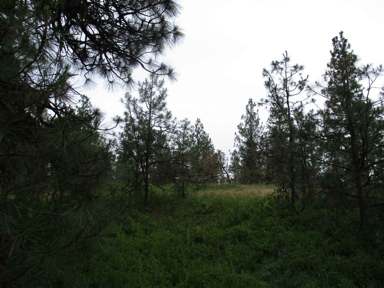 Nna West Paradise Road Spokane, WA 99224 - Photo 7 of 8