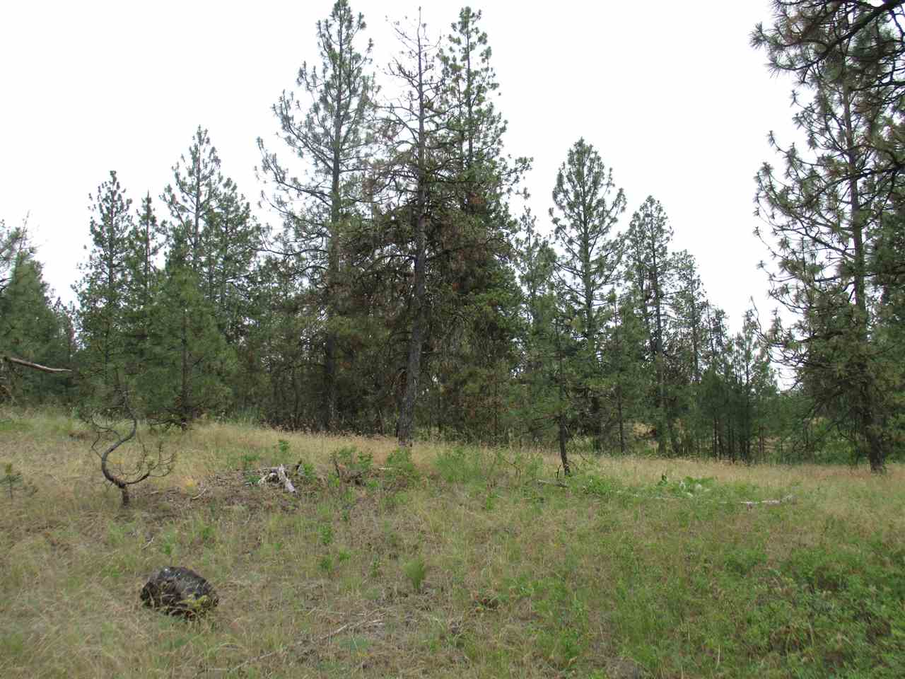 Nna West Paradise Road Spokane, WA 99224 - Photo 8 of 8