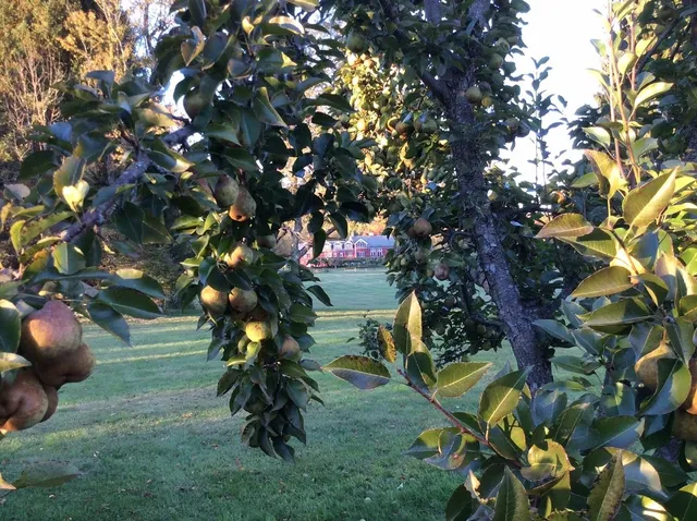 $1,875,000 | 2167 Myers Road, Shaftsbury, VT 05257