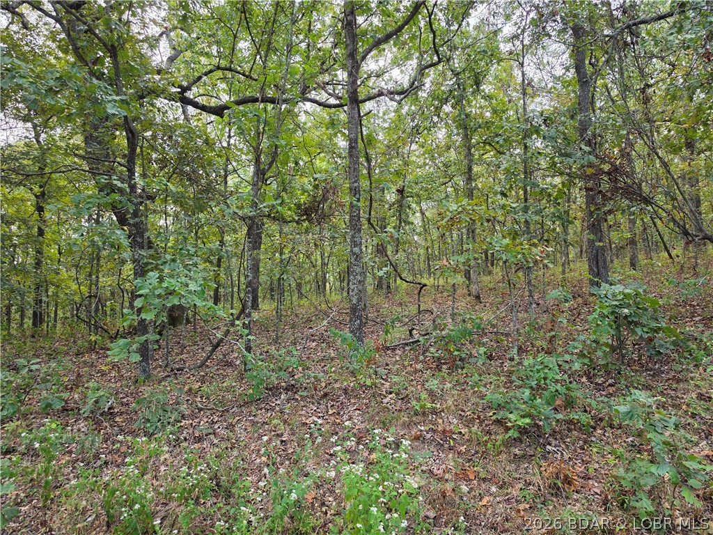 Forbes Road, Unit 2556 & 2557 Edwards, MO 65326 - Photo 14 of 26 Gallery Image 14