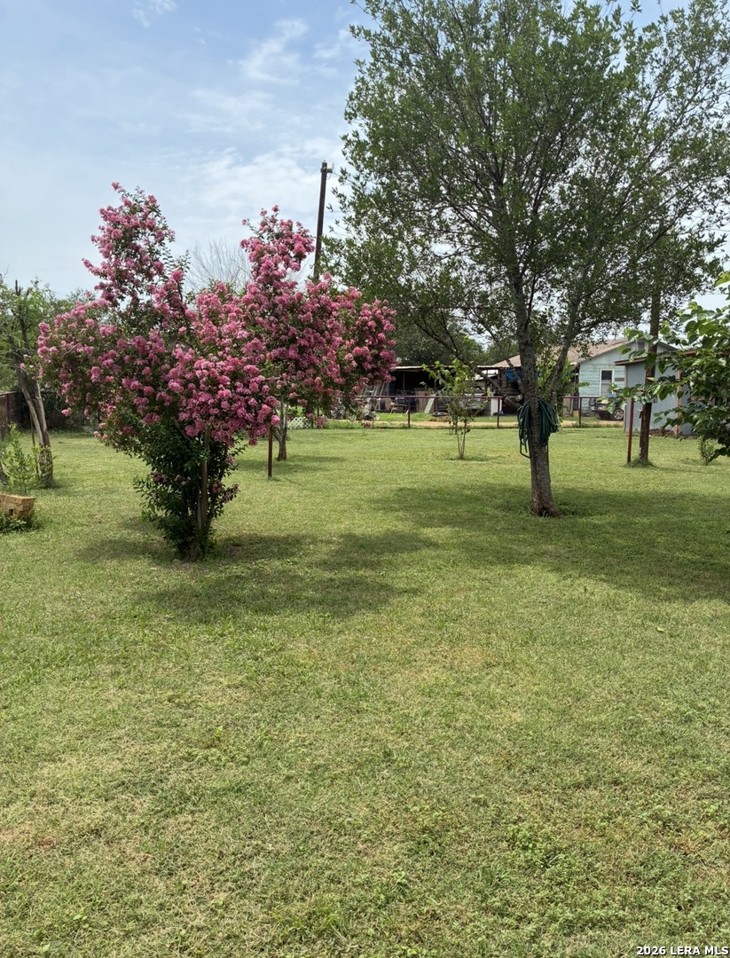 323 East White Street Dilley, TX 78017 - Photo 11 of 12