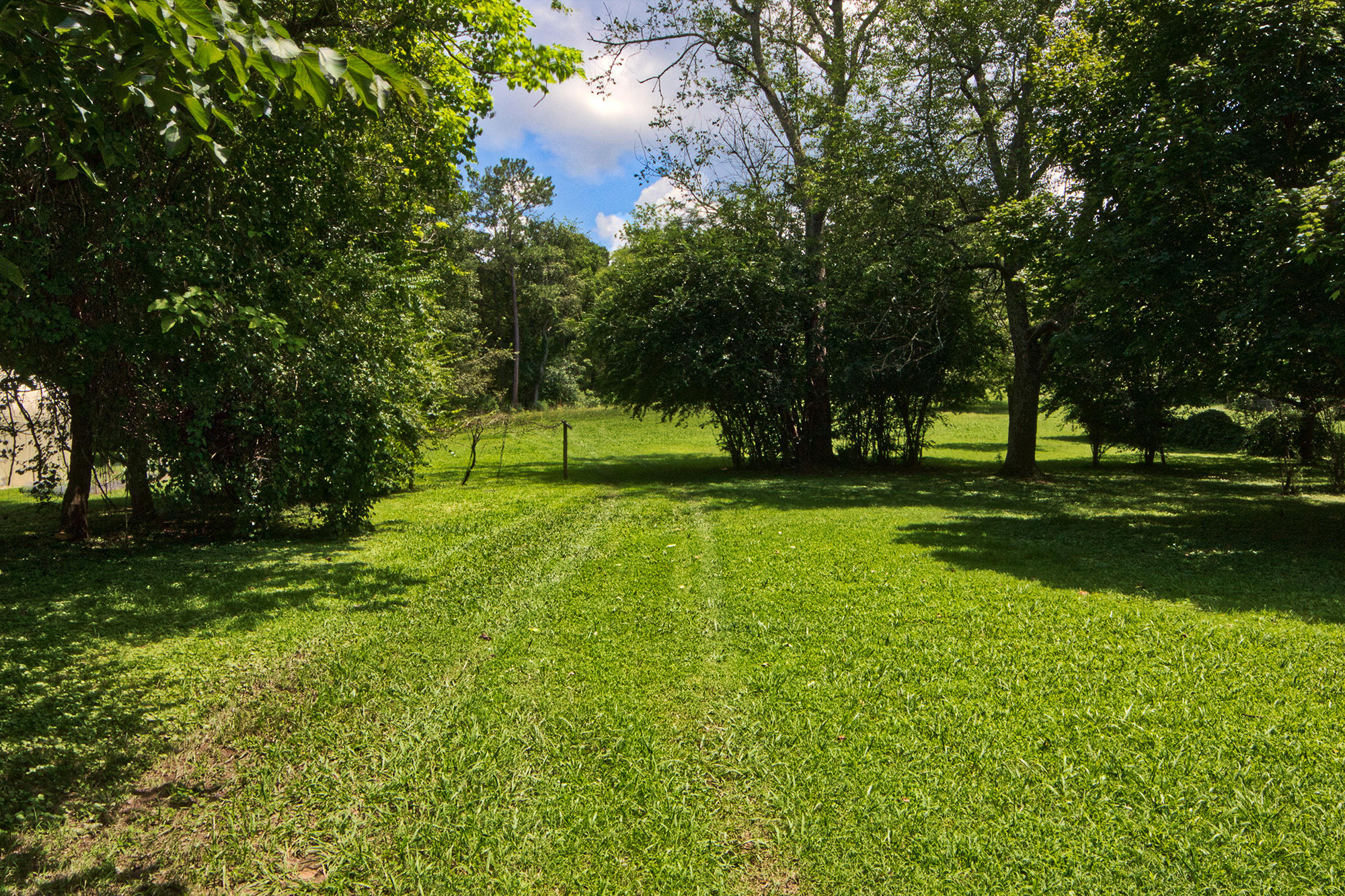 1467 Three Notch Road Ringgold, GA 30736 - Photo 8 of 20 Backyard