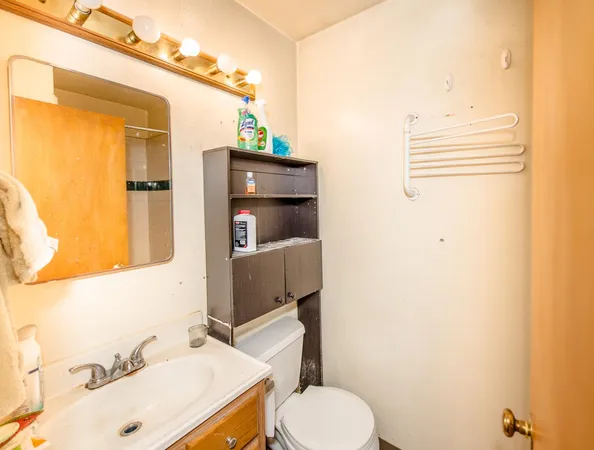 a bathroom with a sink a toilet and mirror