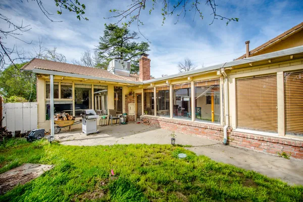 a close up of a flower in a garden