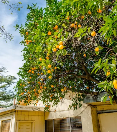 a view of a backyard of the house