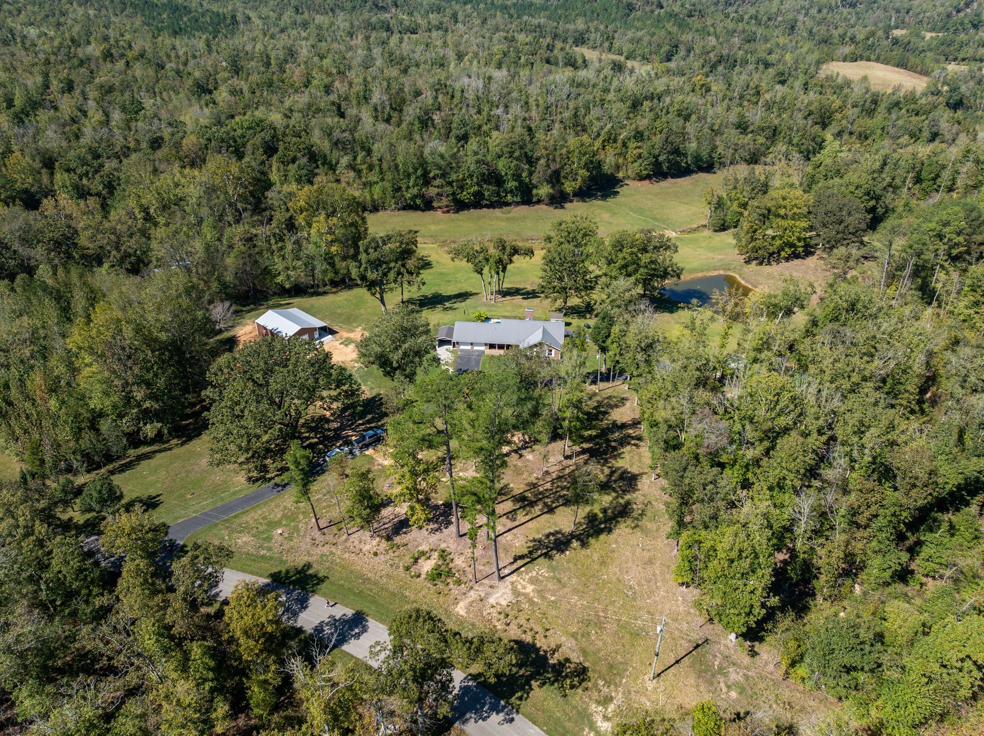 2743 Mouse Tail Road Parsons, TN 38363 - Photo 70 of 79 a view of a forest with a house