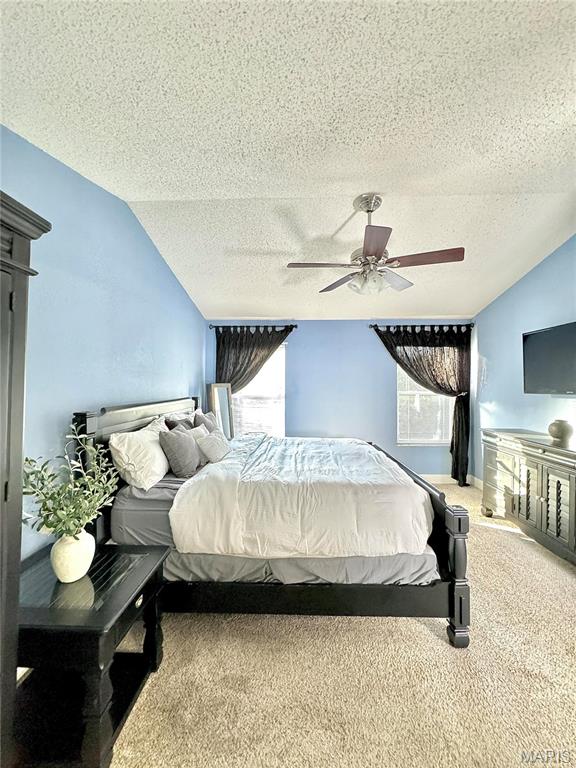 5284 Summer Circle Imperial, MO 63052 - Photo 28 of 77