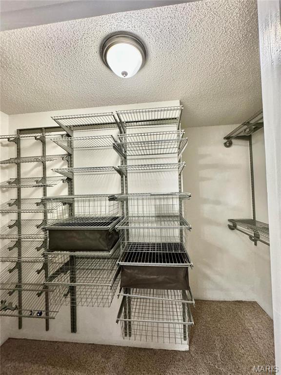 5284 Summer Circle Imperial, MO 63052 - Photo 39 of 77