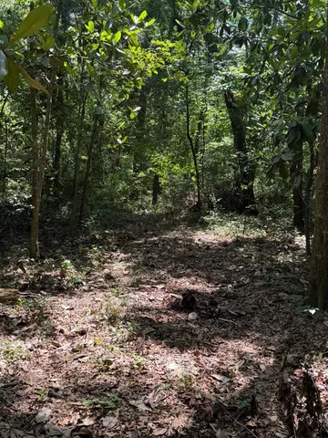 $399,000 | Fallow Road, Lamont, FL 32336