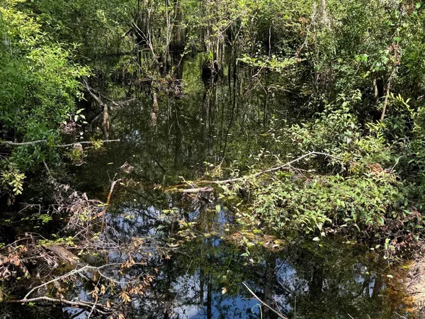 $399,000 | Fallow Road, Lamont, FL 32336