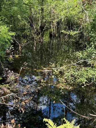 $399,000 | Fallow Road, Lamont, FL 32336