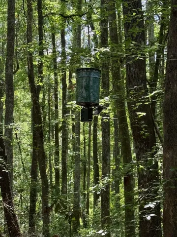 $399,000 | Fallow Road, Lamont, FL 32336