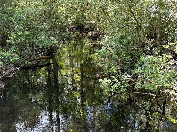$399,000 | Fallow Road, Lamont, FL 32336