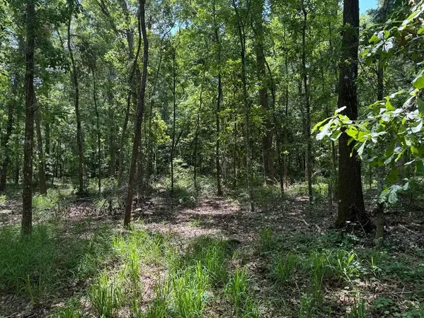 $399,000 | Fallow Road, Lamont, FL 32336