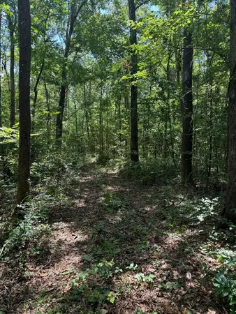 $399,000 | Fallow Road, Lamont, FL 32336