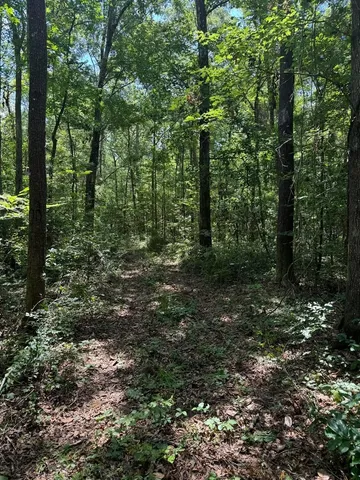 $399,000 | Fallow Road, Lamont, FL 32336