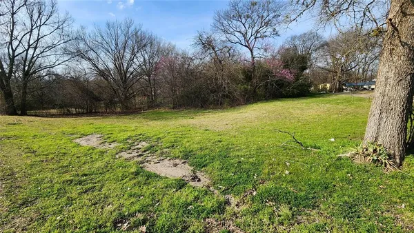 $10,500 | Lot 167 County Road 1633, Lone Oak, TX 75453