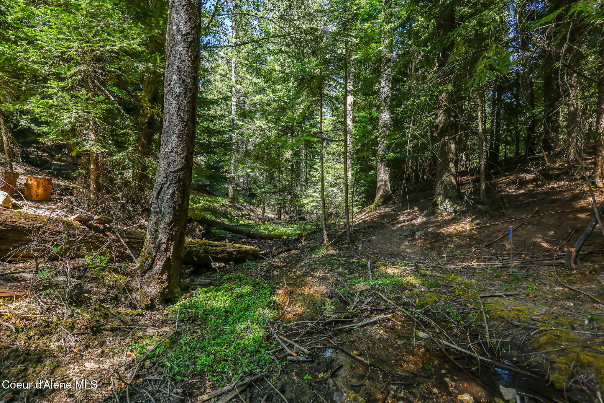 6079 East Hayden Lake Road Hayden, ID 83835 - Photo 69 of 94 9N5A2928 copy