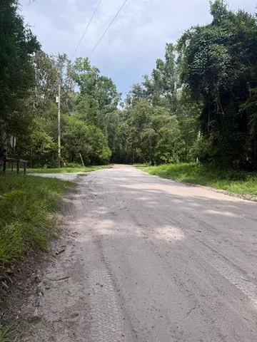 a view of a yard with a trees