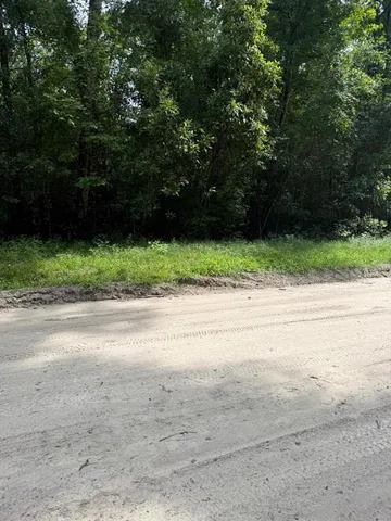 a view of a yard with plants and trees