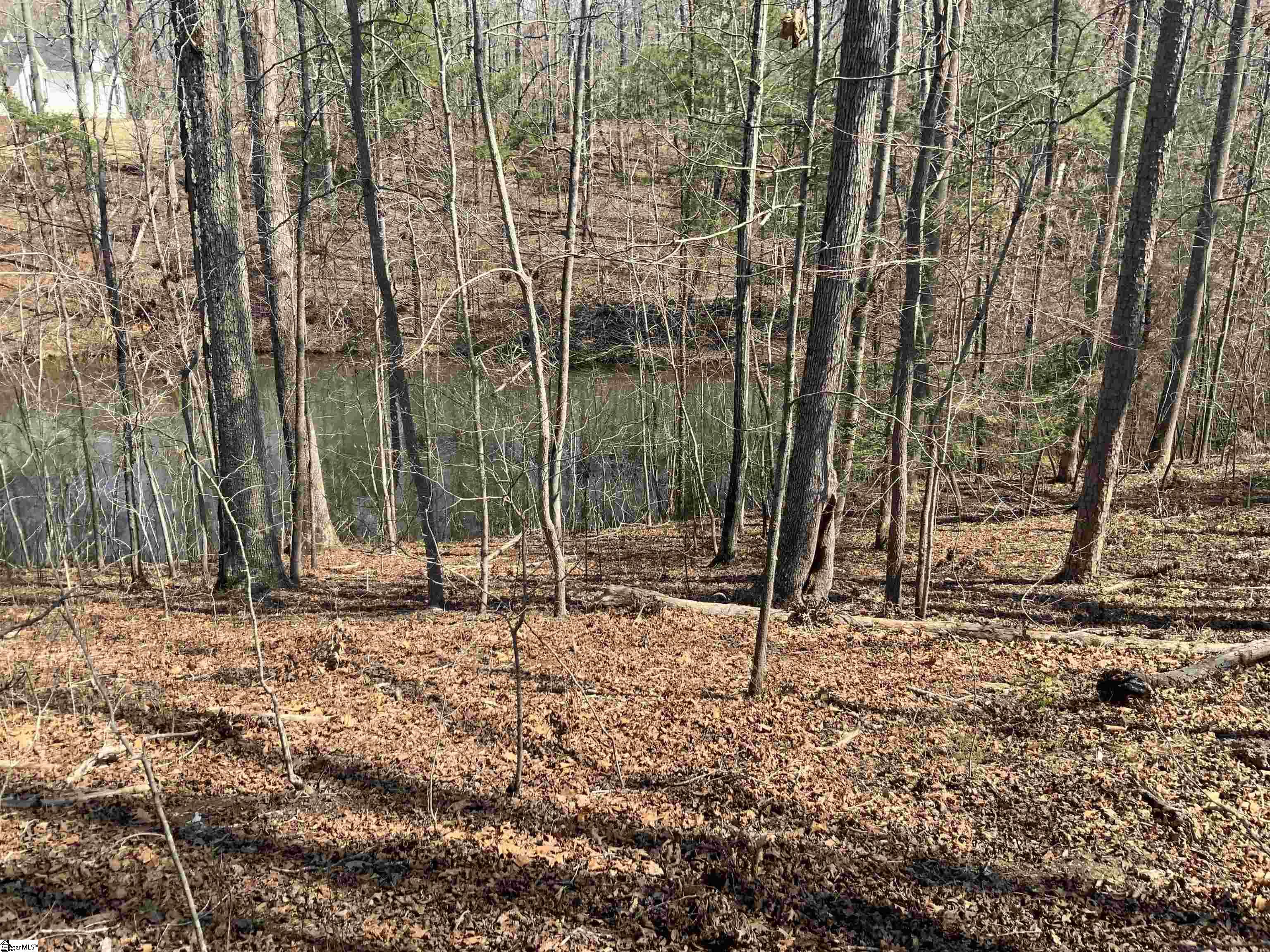 0 Wicklow Road Campobello, SC 29322 - Photo 2 of 3