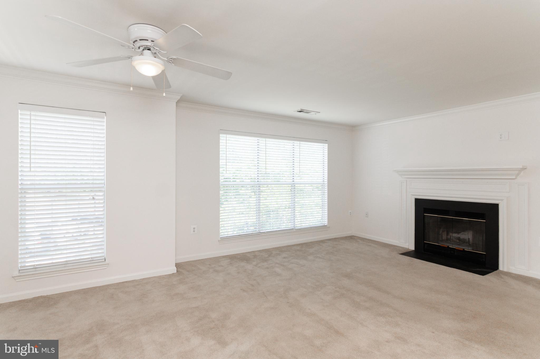 20958 Timber Ridge Terrace, Unit 201 Ashburn, VA 20147 - Photo 15 of 25 a view of empty room with a fireplace