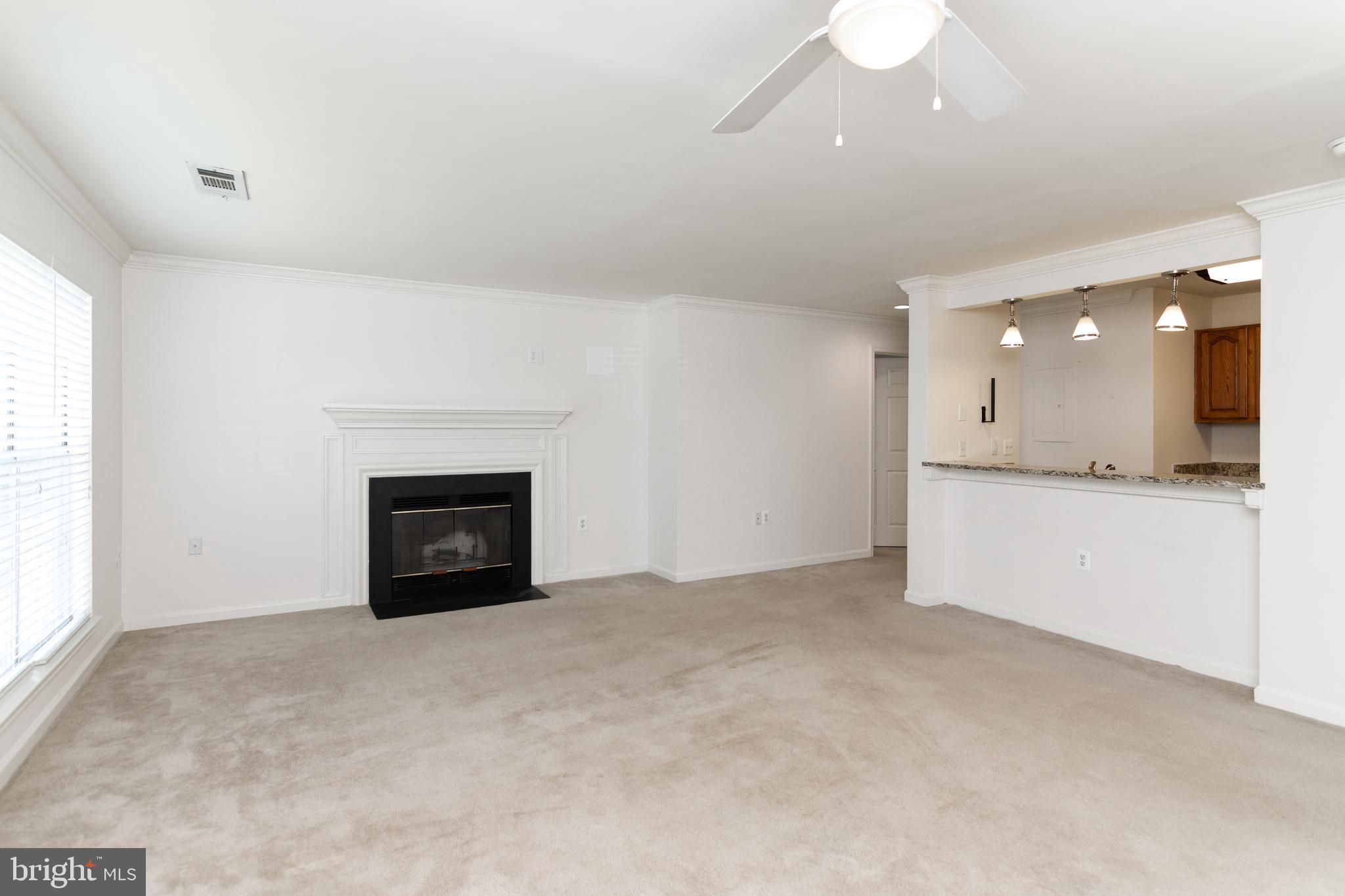 20958 Timber Ridge Terrace, Unit 201 Ashburn, VA 20147 - Photo 18 of 25 an empty room with a fireplace and window