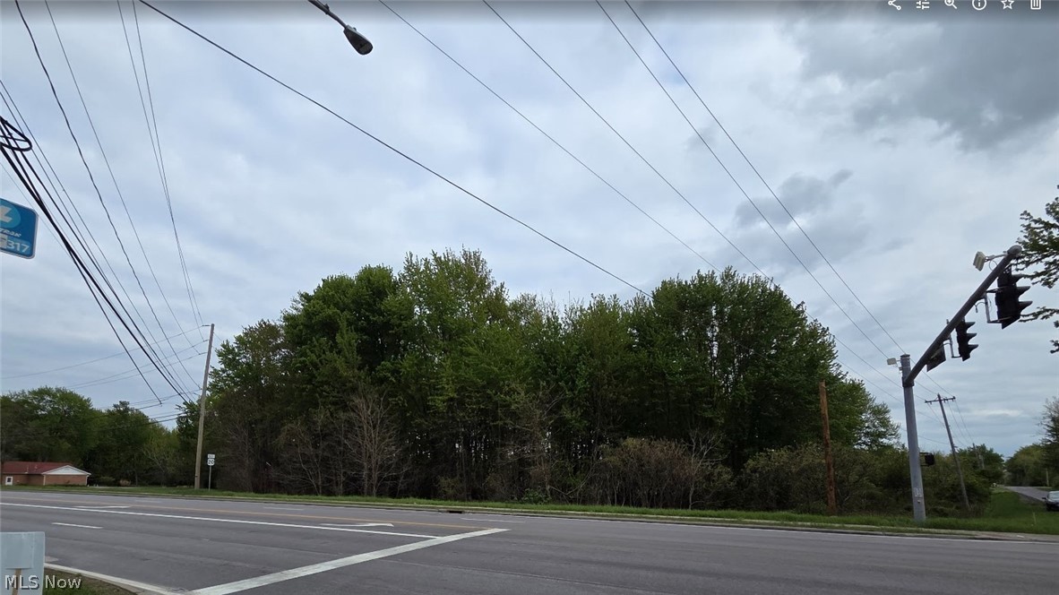 South Ridge Road Madison, OH 44057 - Photo 3 of 3 Expansive lot featuring mature trees, a clear road frontage, and established utility lines