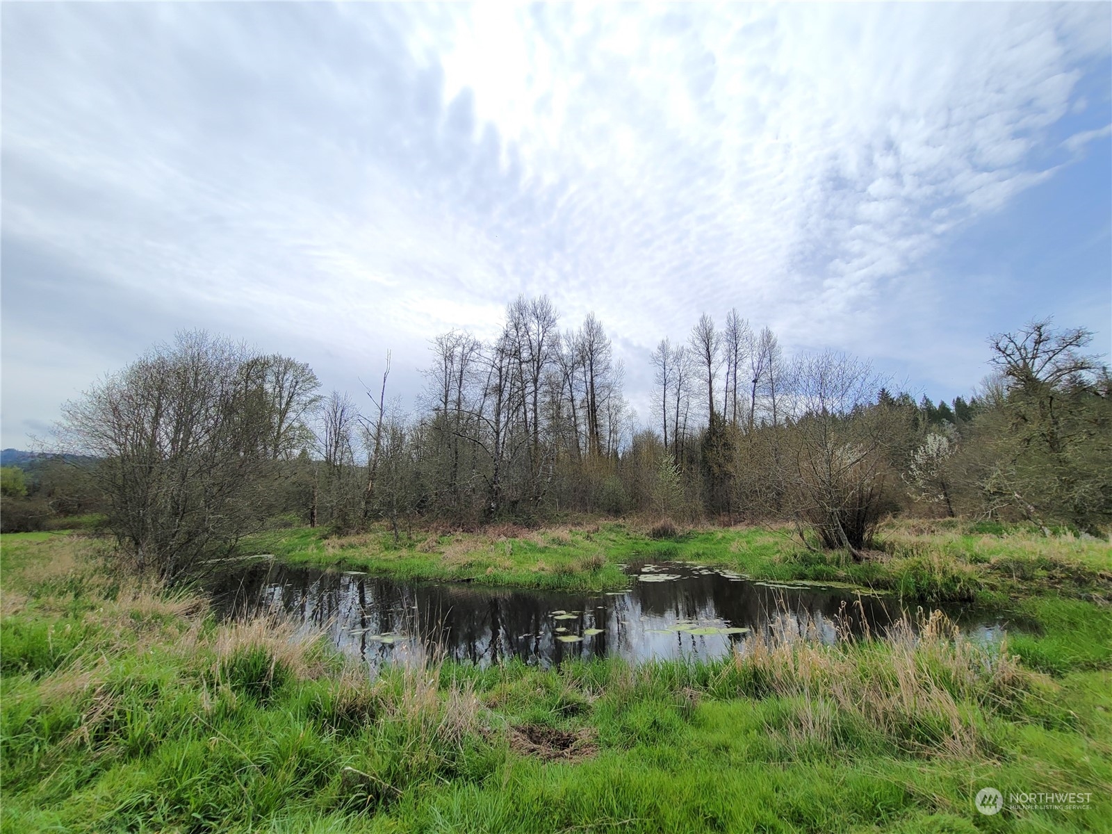 1039 Rose Valley Road Kelso, WA 98626 - Photo 28 of 40 Gallery Image 28