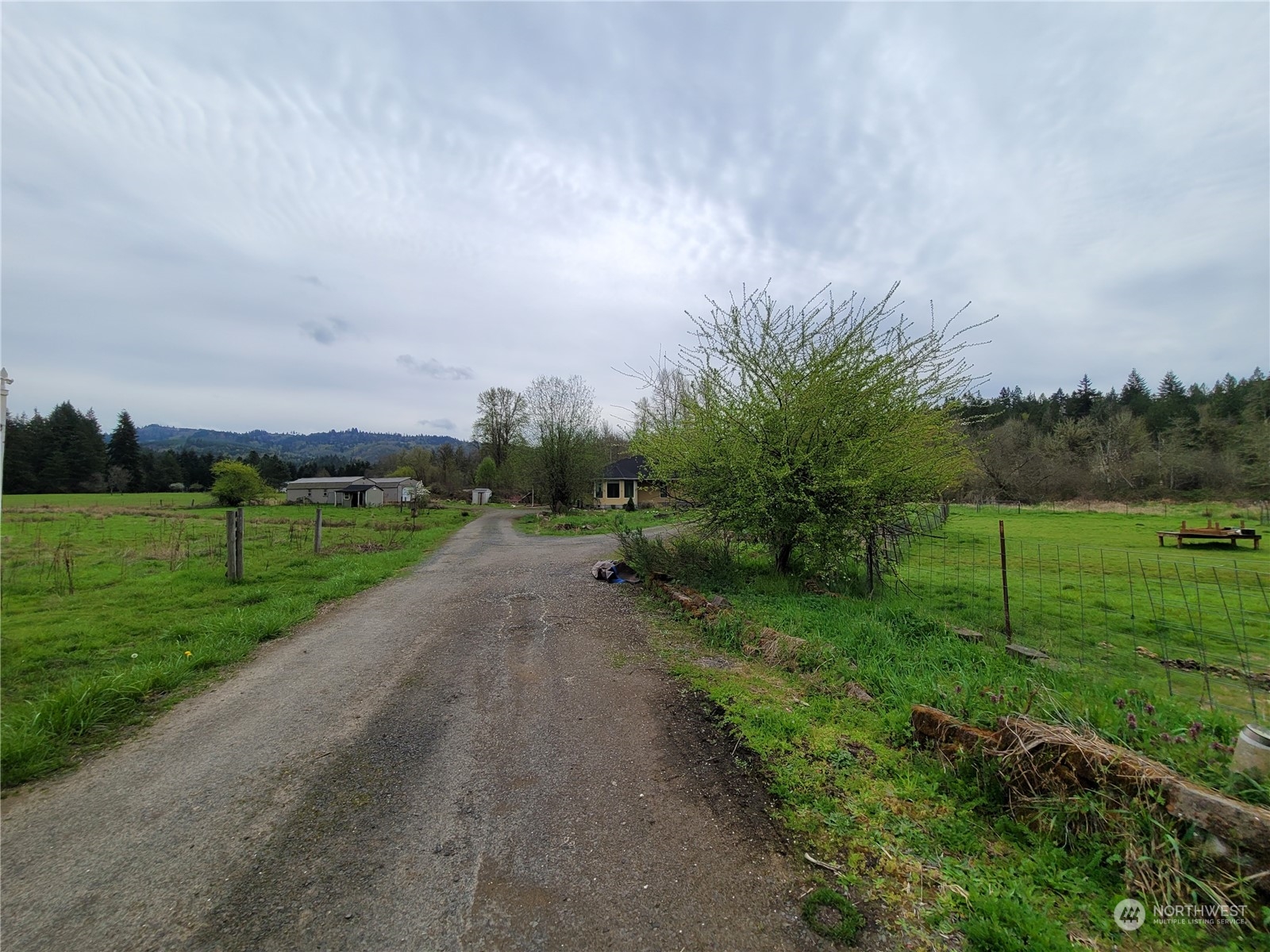 1039 Rose Valley Road Kelso, WA 98626 - Photo 37 of 40 Gallery Image 37
