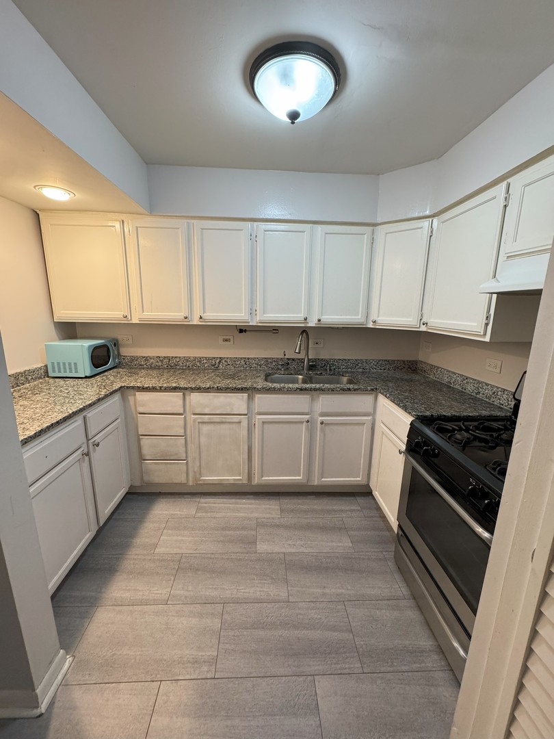 6027 103rd Street, Unit 1A Chicago Ridge, IL 60415 - Photo 15 of 22 a kitchen with a stove sink and cabinets