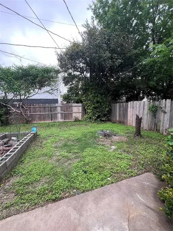 a view of a backyard with potted plants and large trees