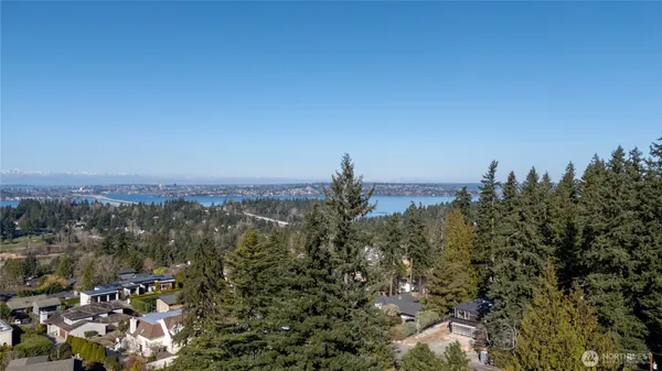 a view of a city with lush green forest