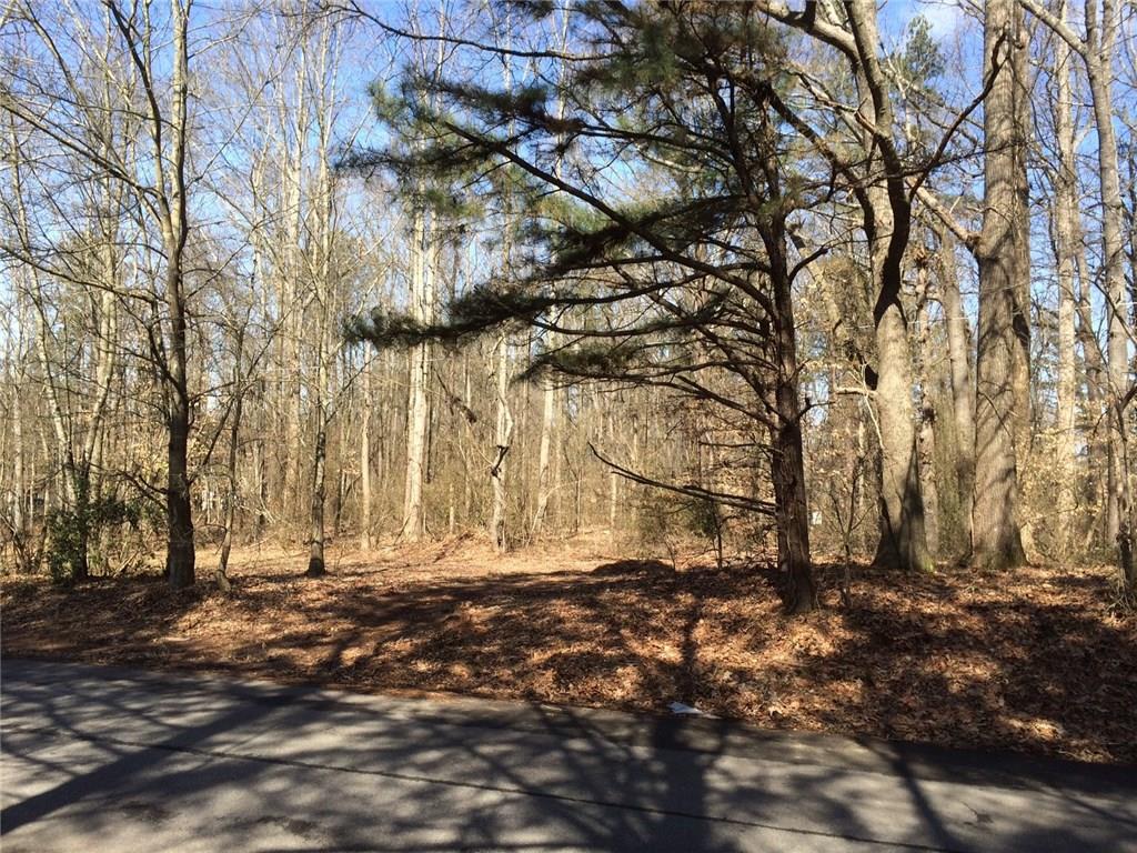 0 Worley Road Cumming, GA 30028 - Photo 1 of 1