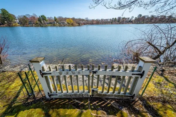 a view of a lake with a mountain from a lake view