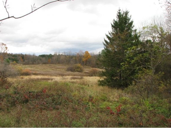 231 B Buck Hollow Road Fairfax, VT 05454 - Photo 1 of 1 Gallery Image 1