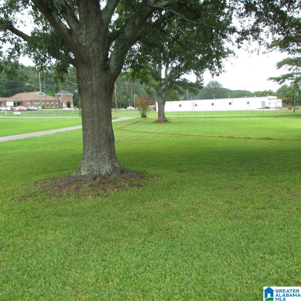 220 20th Street Oneonta, AL 35121 - Photo 18 of 20