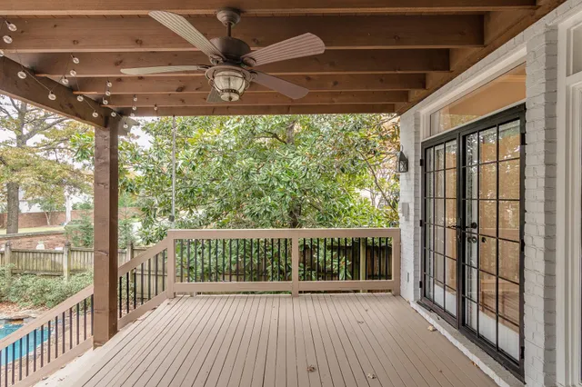 a view of a backyard with plants and large trees